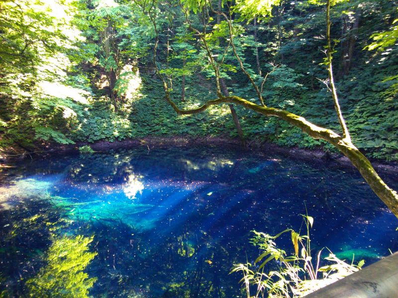 hồ Aoike Pond hồ Aoike Pond